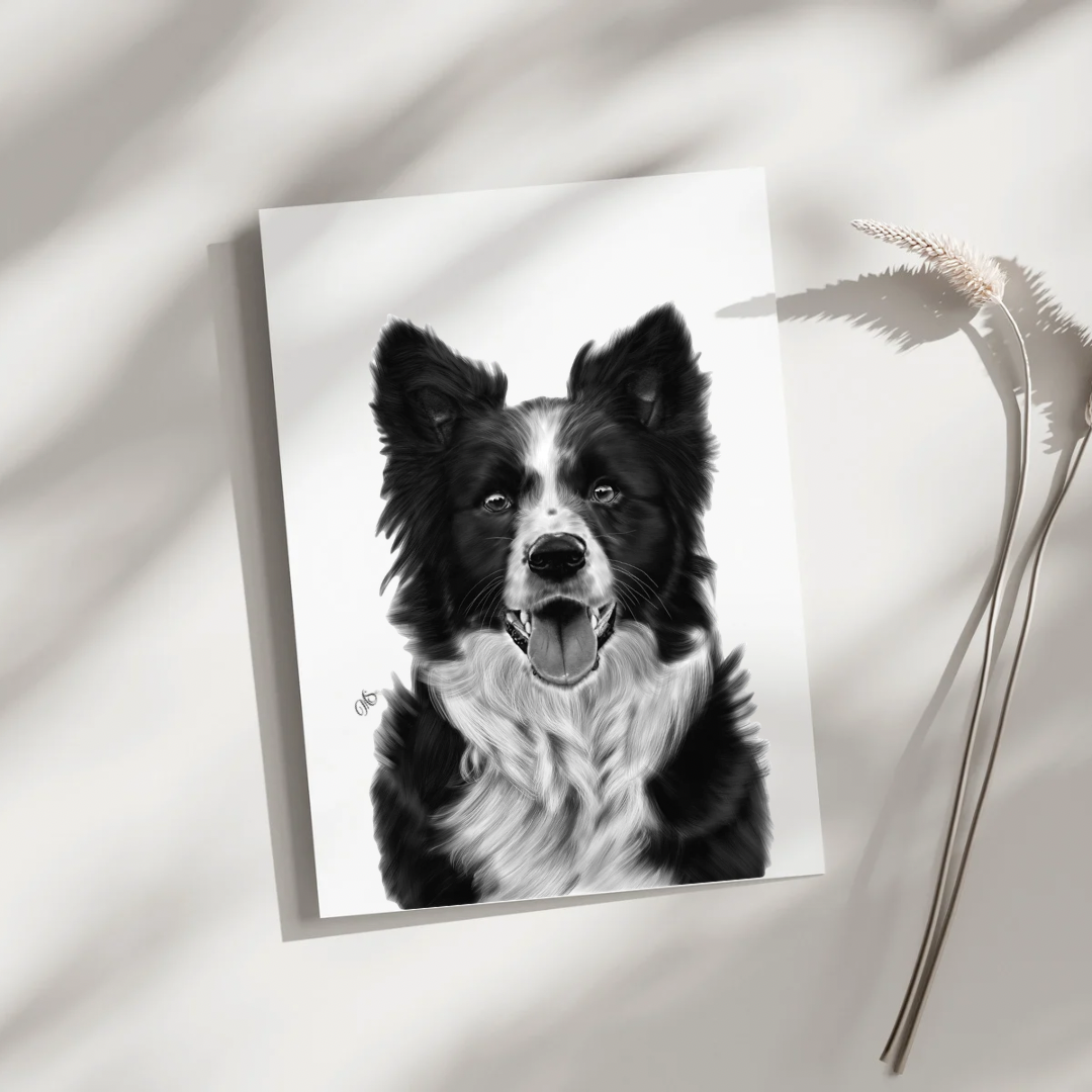 Border Collie Greeting Card