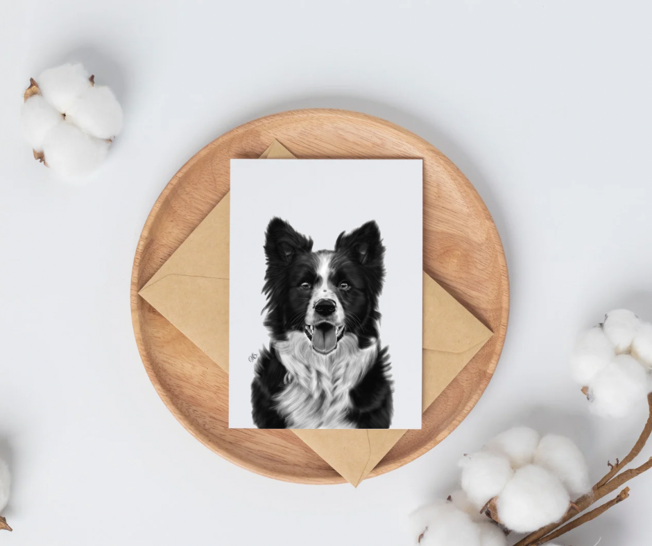 Border Collie Greeting Card (3)
