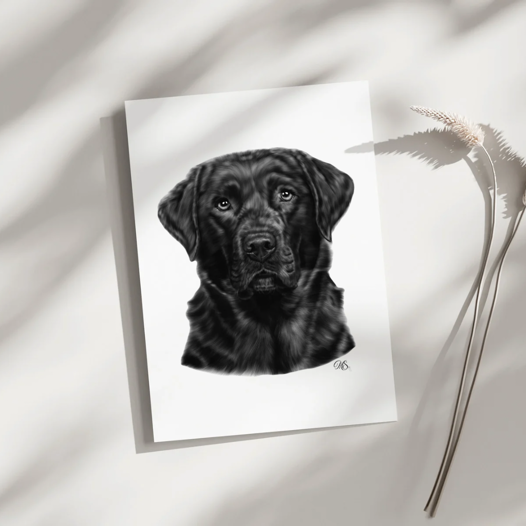 Black Labrador Retriever Greeting Card