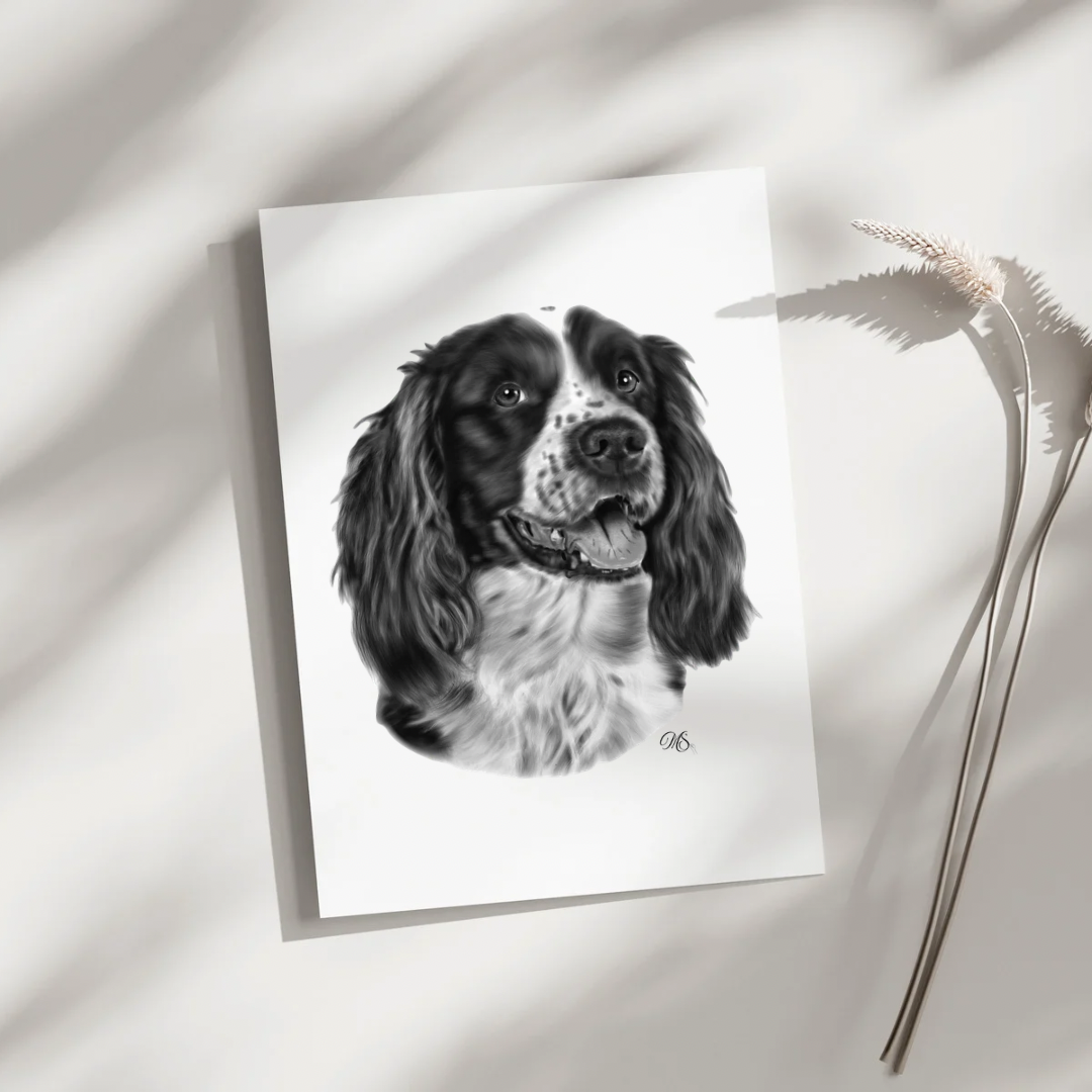 Springer Spaniel Greeting Card