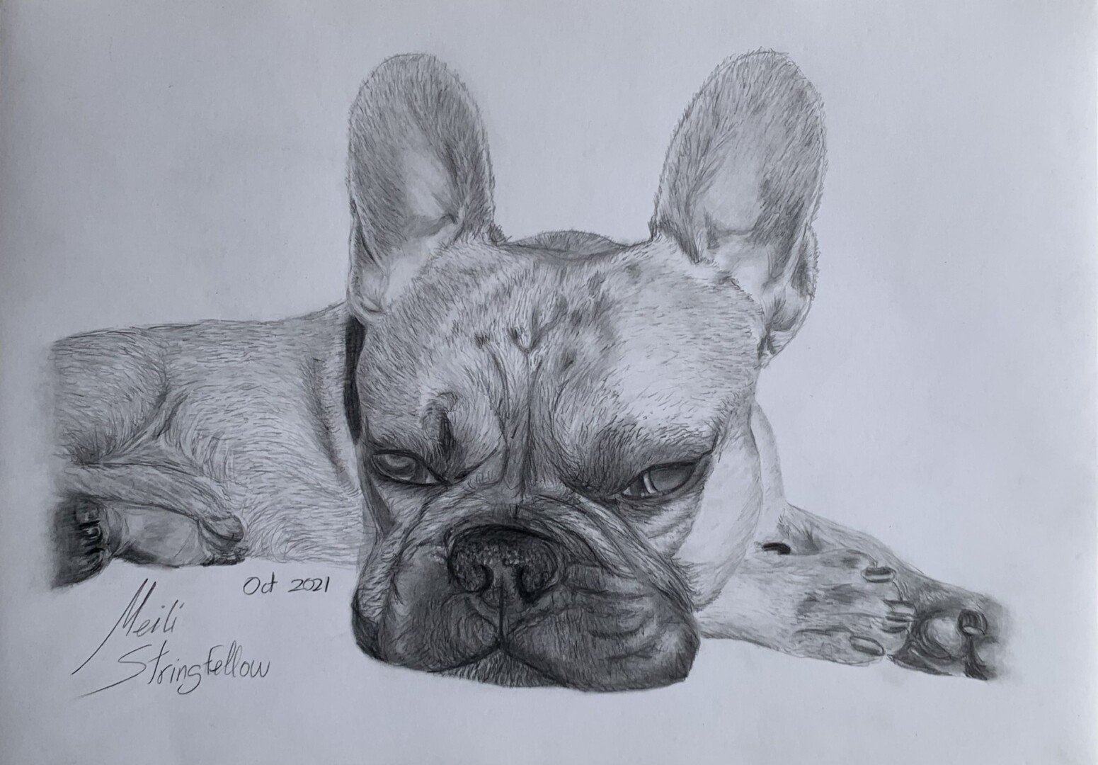 Frankie: Drawing