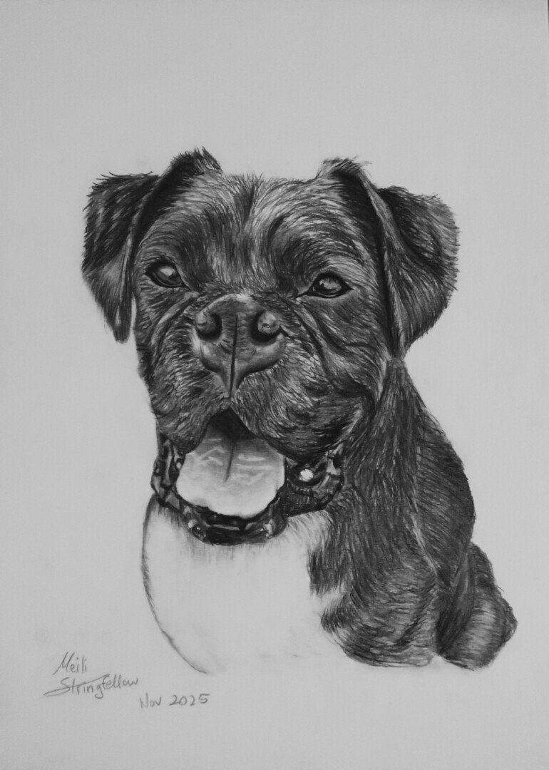 Dog