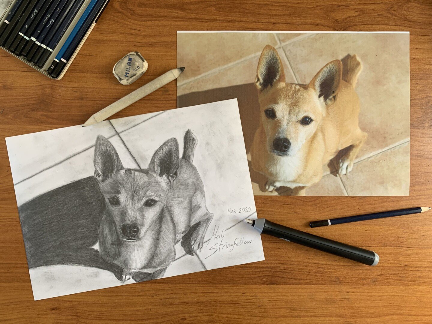 Doggy comparing