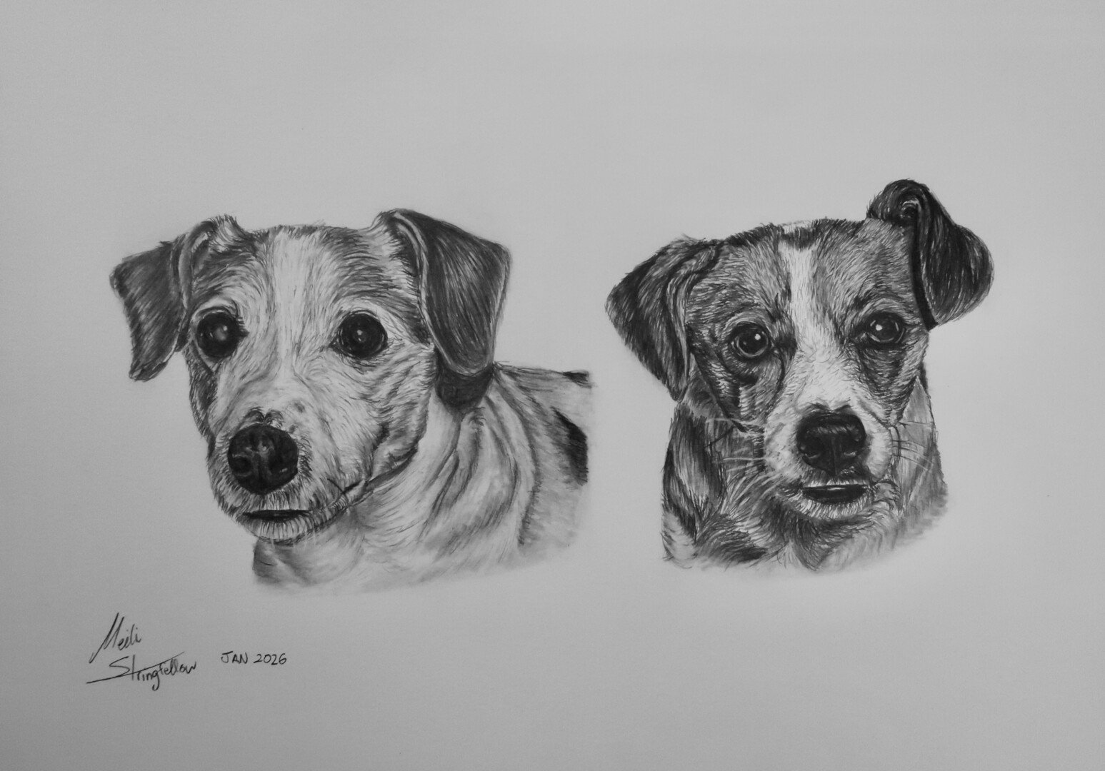 Dogs A3
