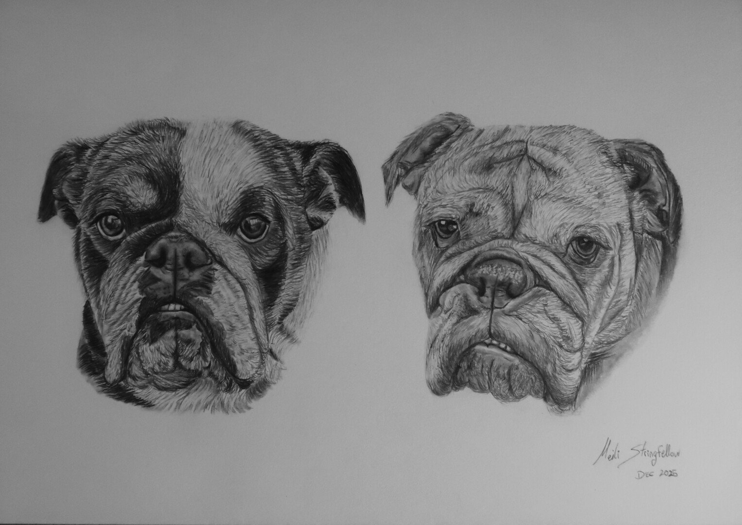 Dogs A3