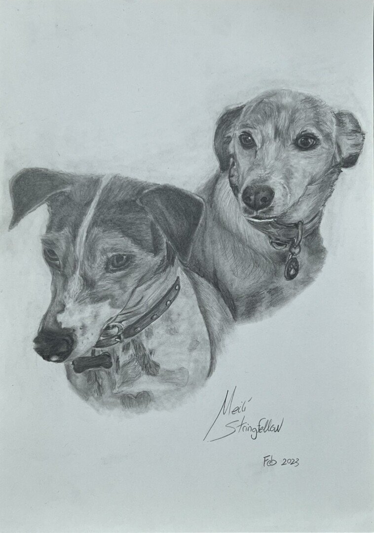 Lucky and Estrella
