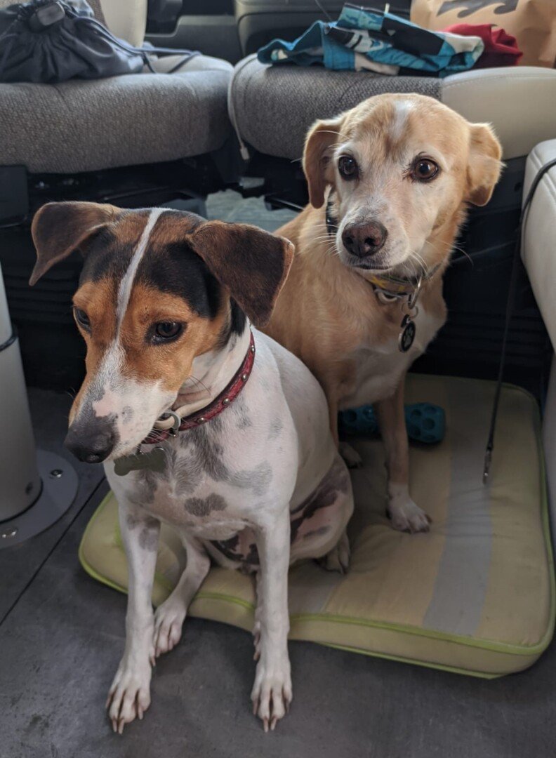 Lucky and Estrella