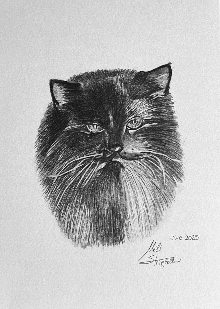 Pantera