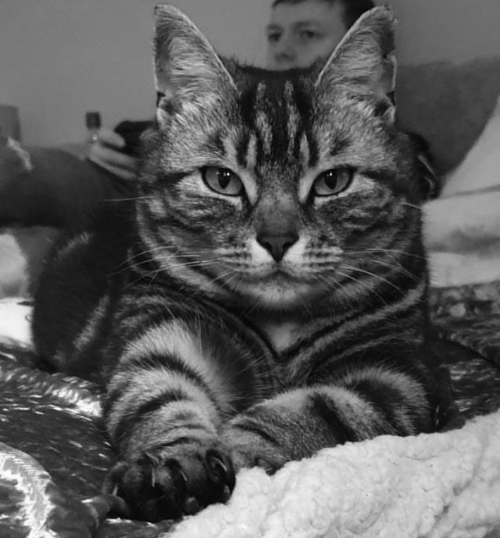 Millie Photo