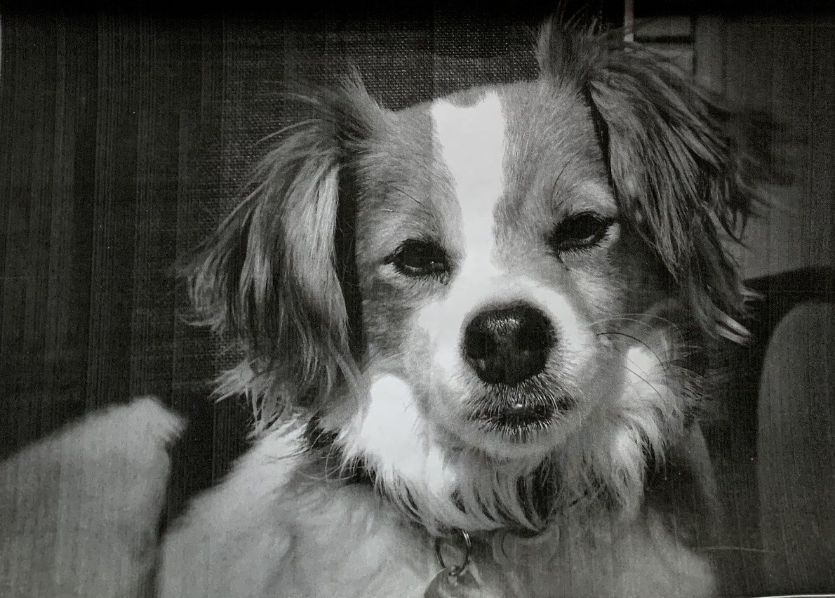 Lady photo