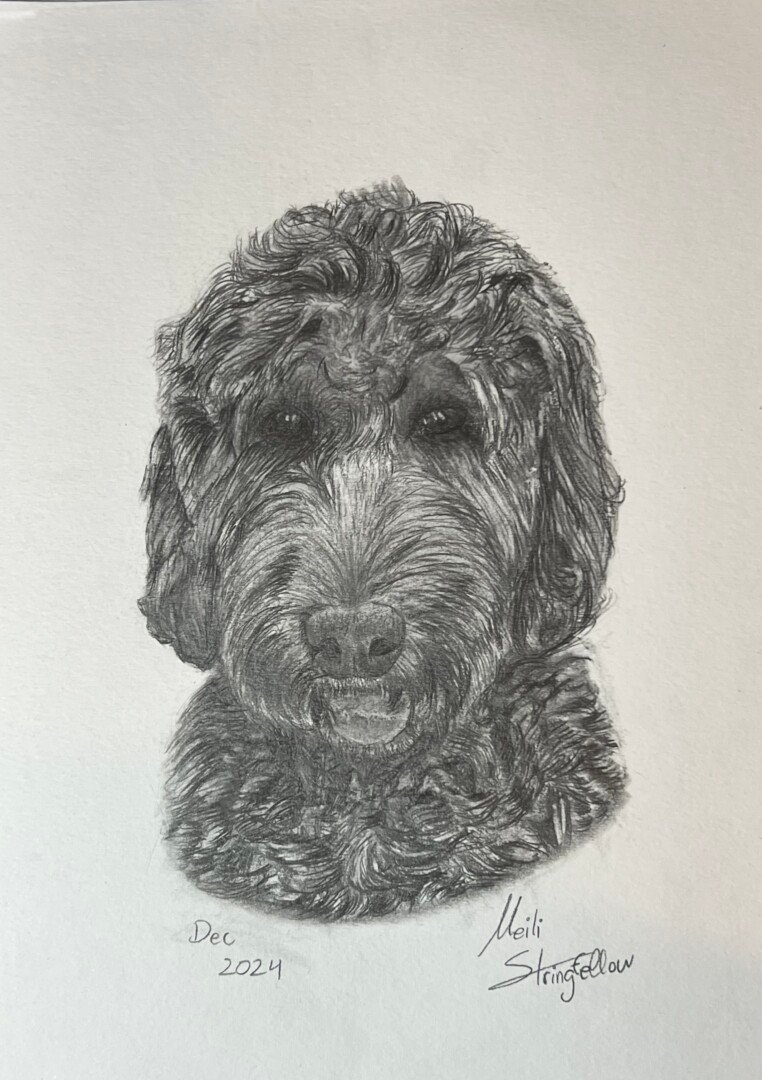 Rufus