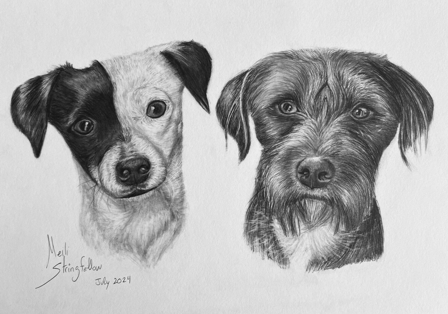Sox & Kira: Drawing